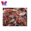 Low Price Dried Shrimp Shell Meal Shrimp Waste Meal Powder with high quality good price animal feed