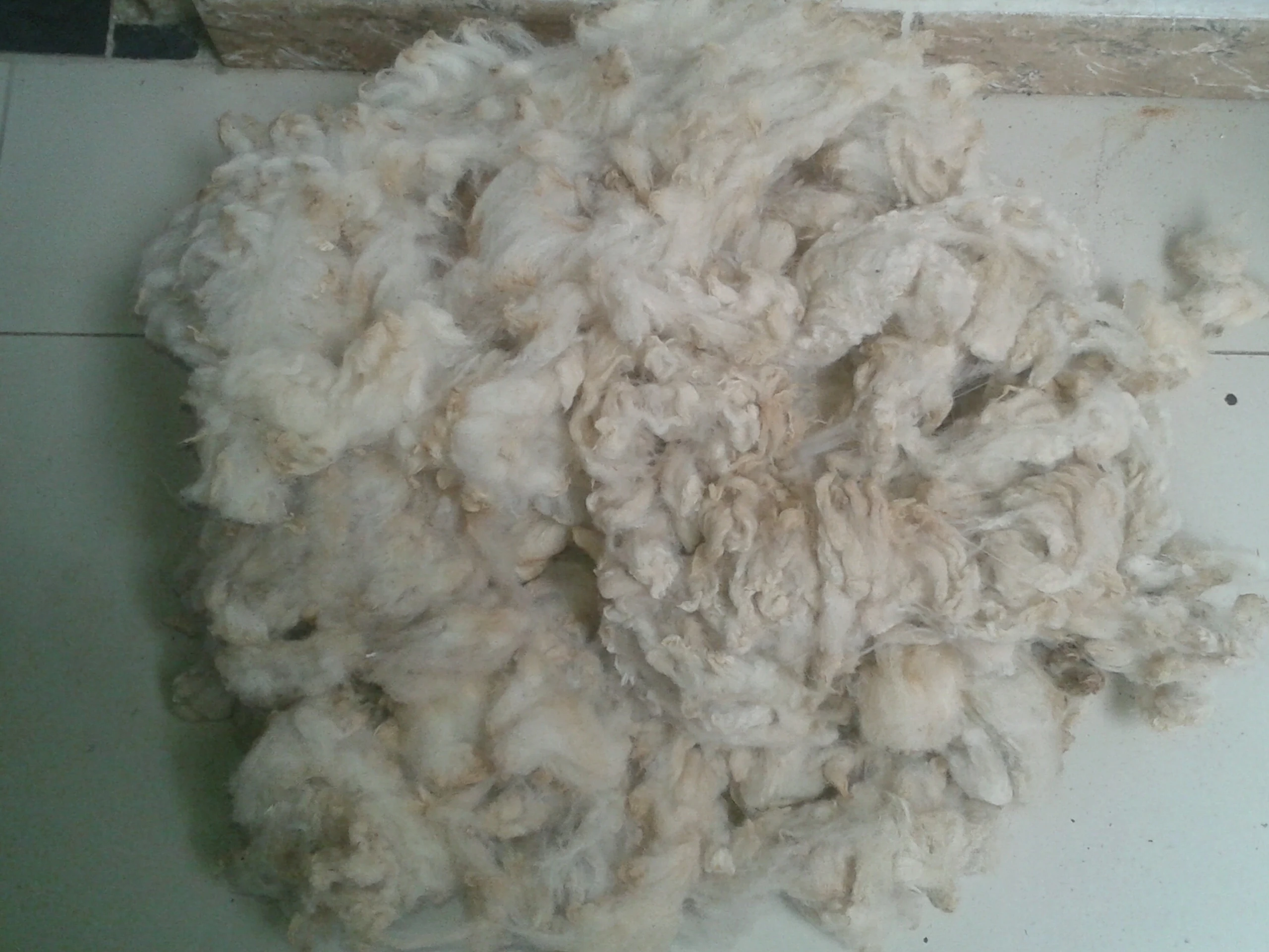 wool for sale