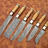 6 Custom Made Damascus Steel Kitchen/Chef Knives Set + Leather Roll Kit CKS-003