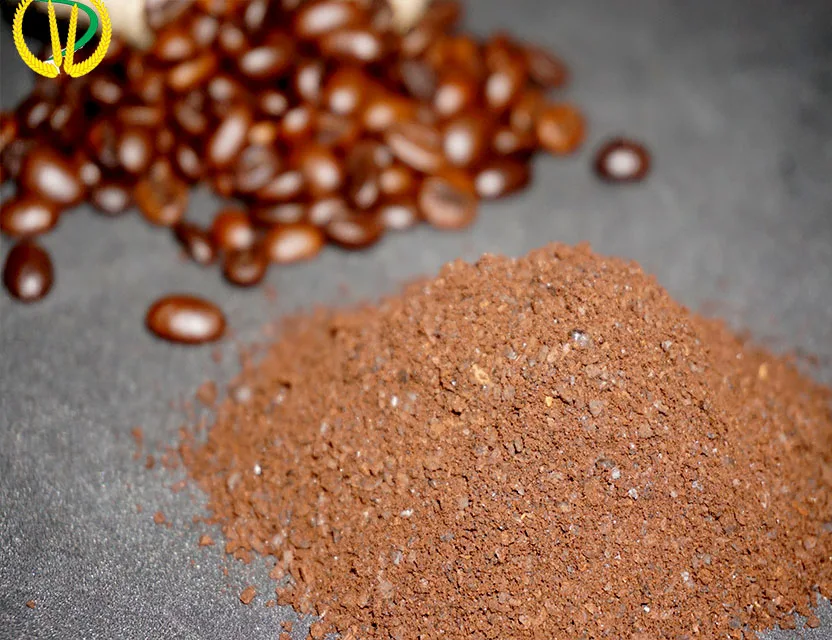 
ROBUSTA COFFEE BEANS ROASTED PRICE FOR SALE WITH DELICIOUS TASTE 