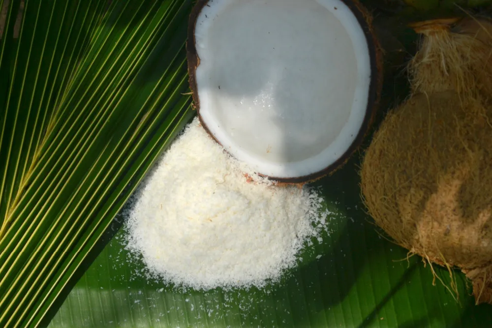 best price low fat desiccated coconut with premium quality