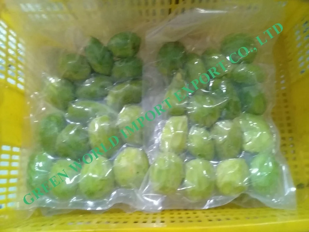 
NATURAL FROZEN AVOCADO - CHEAPEST PRICE 