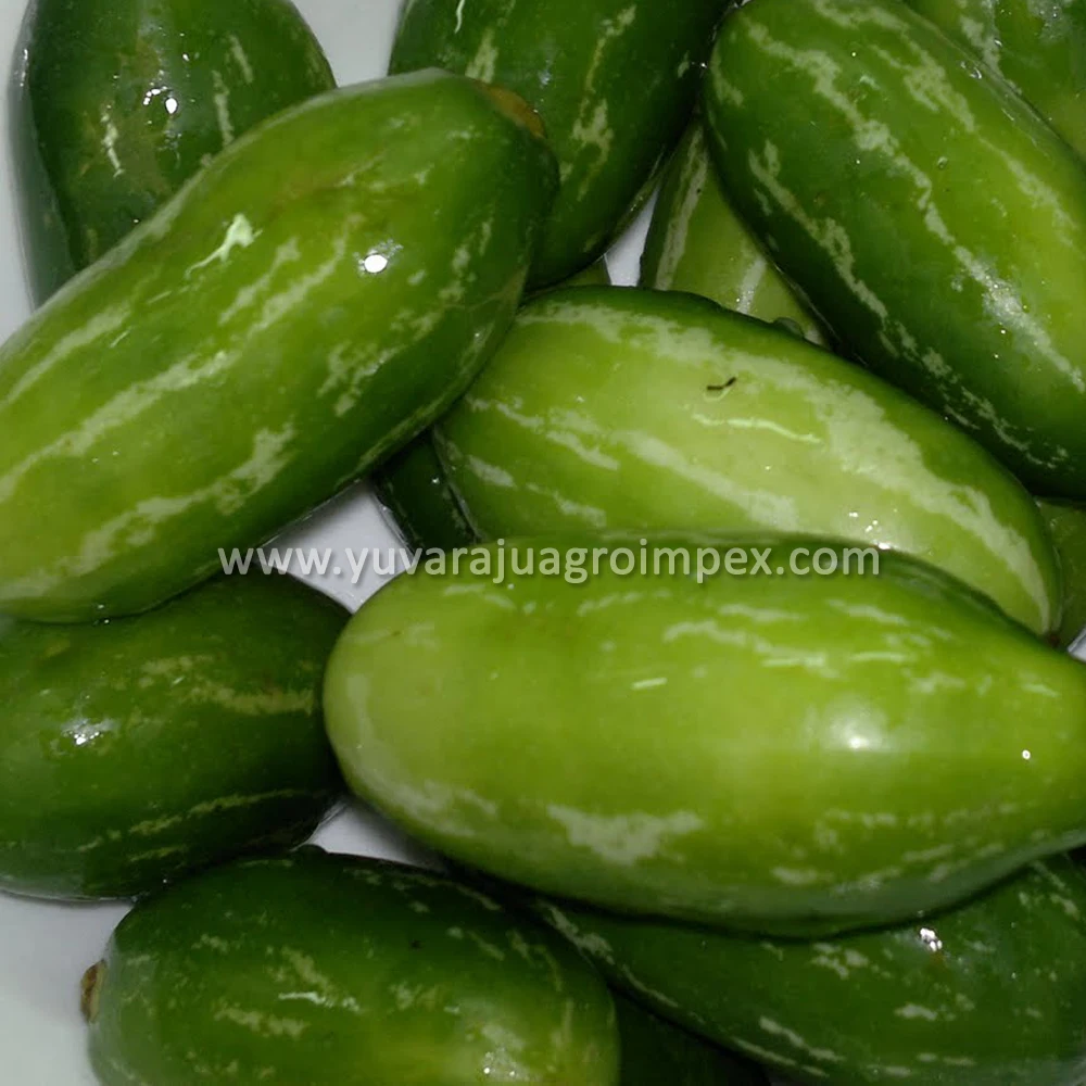 Fresh Natural Vegetables Kovakkai/ivy Gourd Buy Kovakkai/kowai/ivy