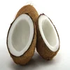 Factory Supply Matured Coconuts Whole