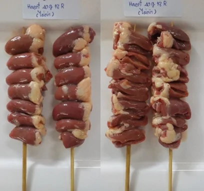 chicken skewer (thailand)