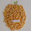 Non Cut Frozen Yellow Maize