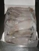 frozen giant squid neck meal soft bone