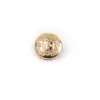 South African Defense Force (Coat Of Arms) 16mm Brass Military uniform button