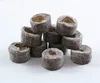 coco coir Pellets for tissue culture