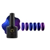 Nail Display Gel Polish Set