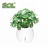 

Home Smart Garden Hydroponic Self Watering Planter Pots Indoor Decoration