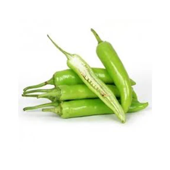 indian spicy fresh green chilli with low moq