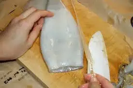 
Exported standard Dried Cuttlefish bone/ cuttlefish from Vietnam ( MS.HOLIDAY Whatsapp +84-845-639-639) 