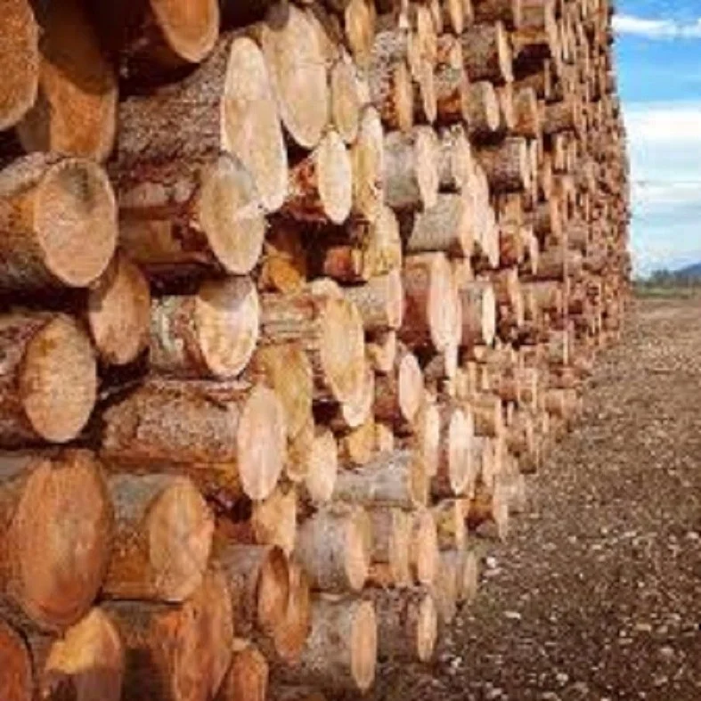 
High quality pine wood timber/lumber used for construction/furniture 