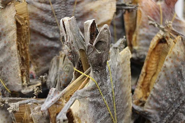 干花/飞越南蛤蚧蛤蚧-特干