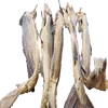 Dry Stock Fish / Dry Stock Fish Head / dried salted cod price