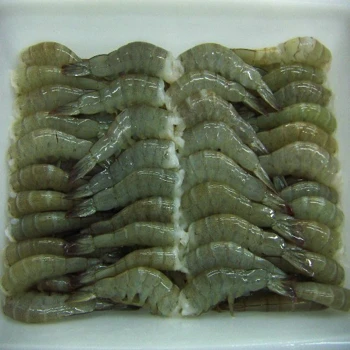 
Frozen Vannamei Prawn/shrimp HOSO 