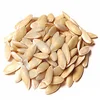 Melon seeds