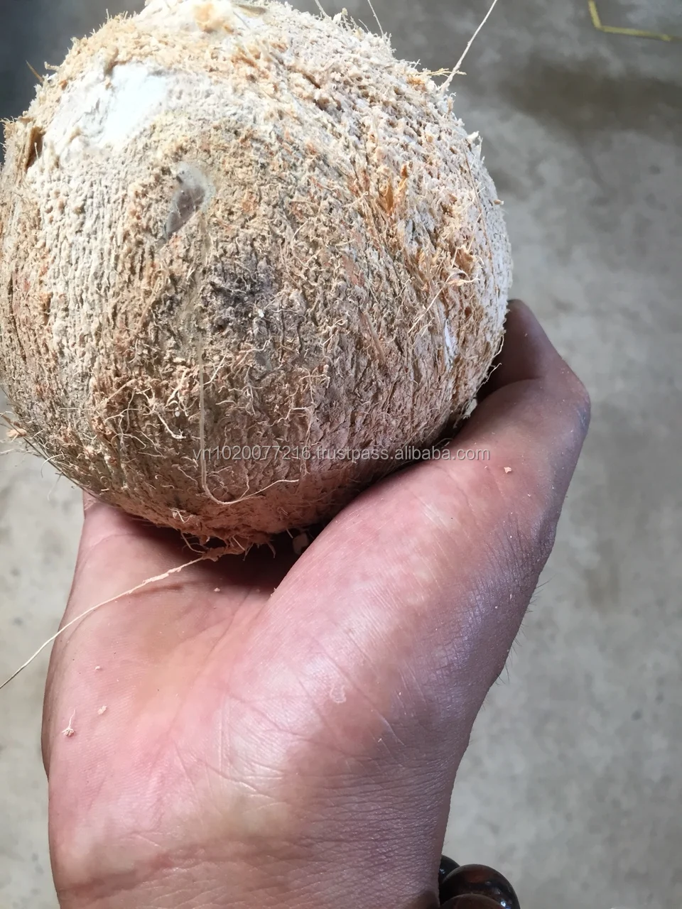 Dried Coconut/ Semi Husked Coconut Buy Fresh Coconut,Dry Coconut