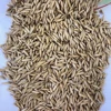 Wholesale Large Flake Rolled Oats