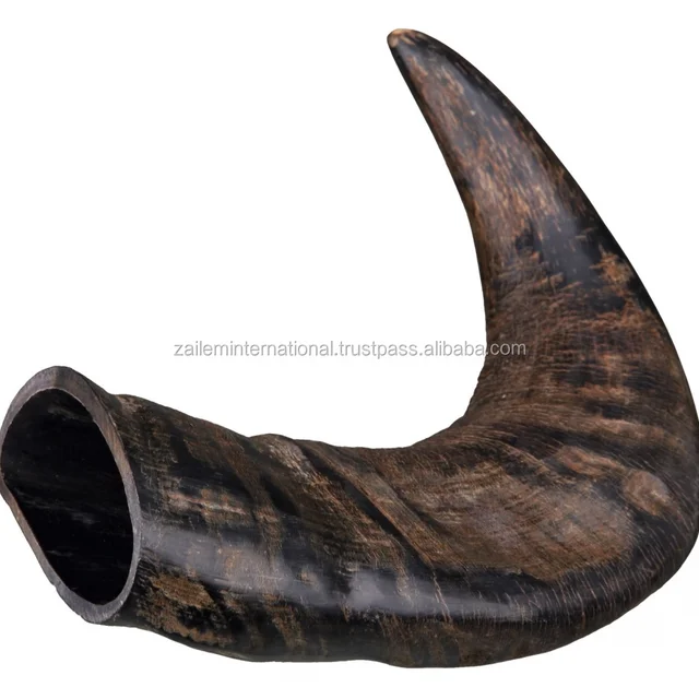 animal horns sale