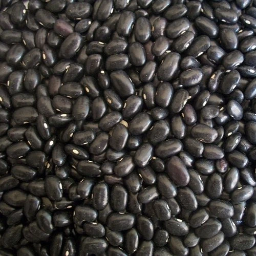 
US Grown Brown Beans Fresh Pinto Beans Robinson Fresh MOQ 50 LBS Quick Delivery in US  (50033672526)