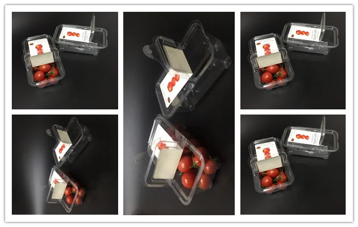 Disposable PET clear plastic fruit strawberry blueberry packaging container