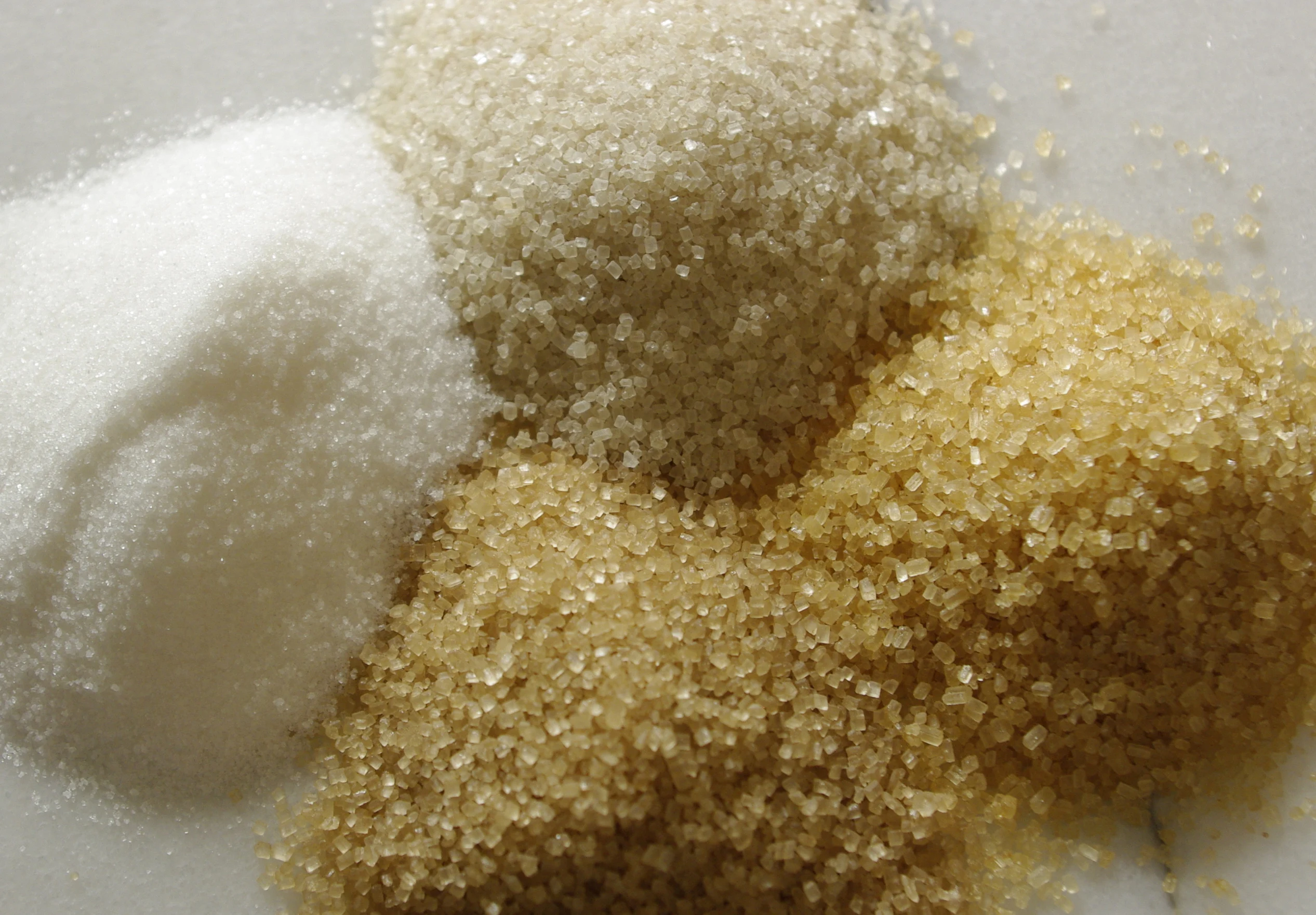 brown cane sugar and beet 100% sugar from thailand