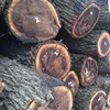 Cheap Walnut Logs For Sale