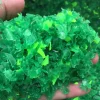 PET Flakes - PET Flakes Green - PET Flakes Green Hot Washed