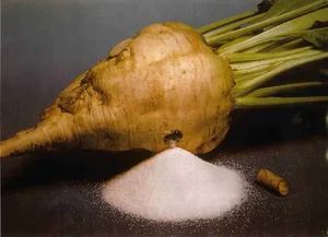 top grade beet sugar / raw brown sugar 600-1200
