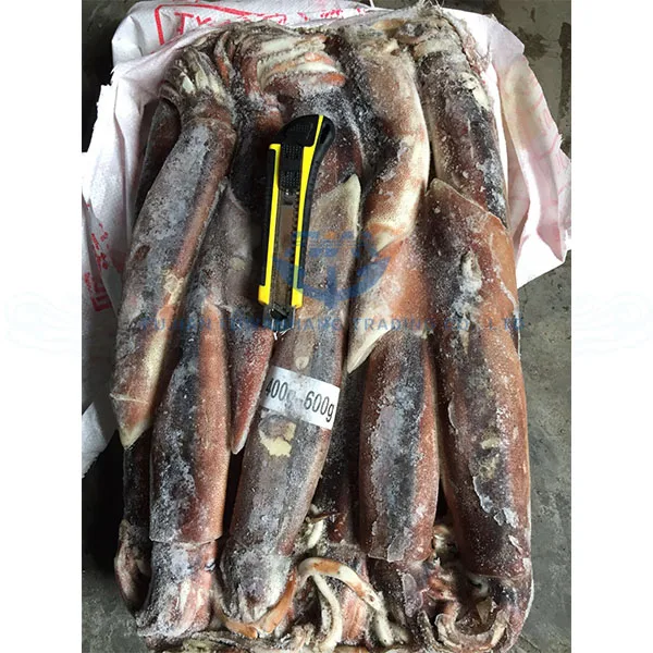 Frozen Whole Squid Bait Illex Squid Price - Buy Frozen Whole Squid Bait