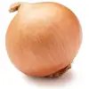 Sale fresh Yellow Onion