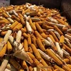 Brazilian Yellow Corn For Animal Feed