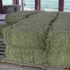 /product-detail/100-pure-alfalfa-hay-timothy-hay-lucerne-hay-for-animal-feed-for-sale-50043658324.html