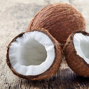 matured variety semi husk coconut for sale