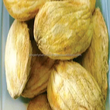 Manufacturer Of Mango Seed From India Buy Dried Mango Seed