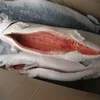 Norway Salmon Fish Frozen Fish