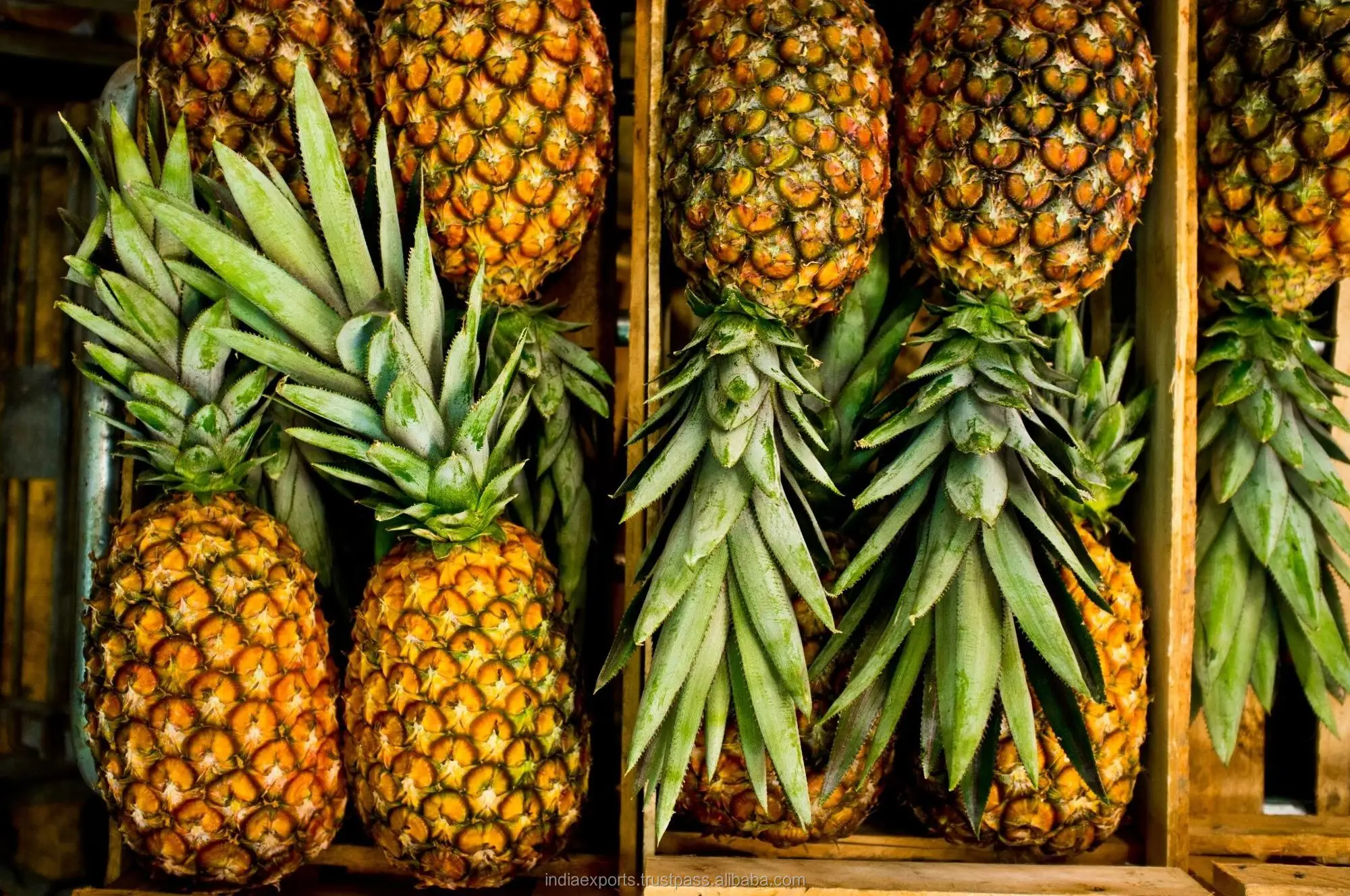 indian fresh pineapple