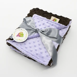 Luxury High Quality New Design Polyester Minky Dot Sofa Blanket