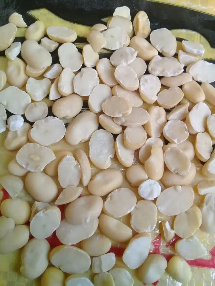 
SPLIT FAVA BEANS 