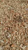 Dry Crab Shell With The Most Comparative Price In Vietnam