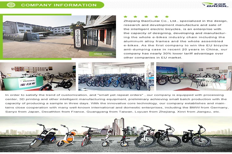 electric bicycle.jpg
