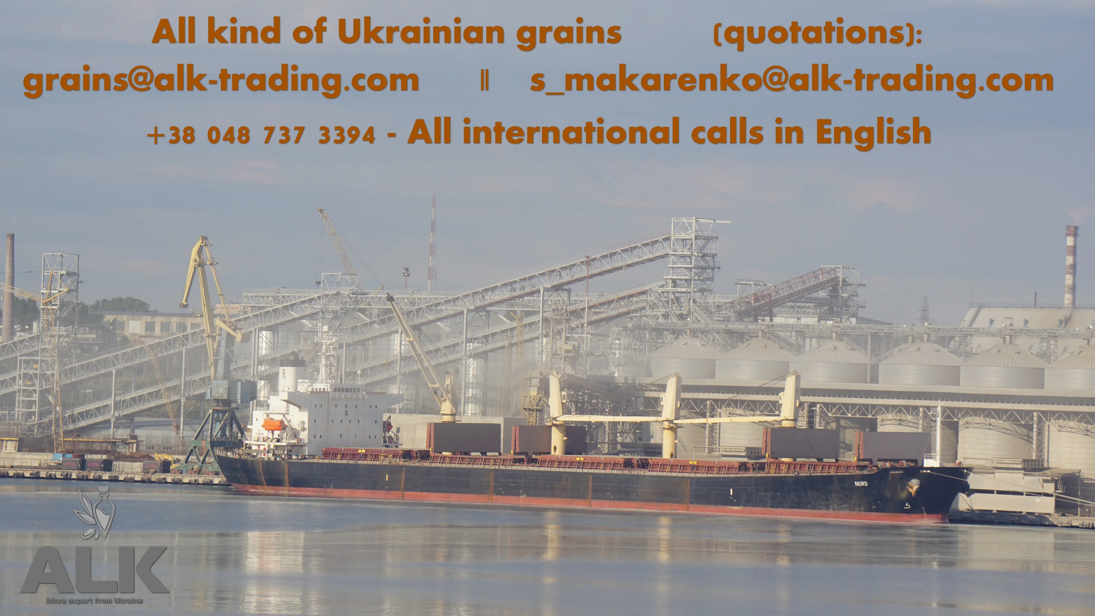 
Ukranian-Top Selling Non GMO Yellow Maize/Corn 