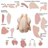 /product-detail/frozen-chicken-paws-chicken-wings-chicken-leg-quarters-and-frozen-chicken-feet-50036209242.html