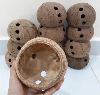 Round Coconut Shell Planter Vietnam Ms Mari Whatsapp 84