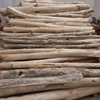 Malaysia High Quality Agarwood Wood Logs