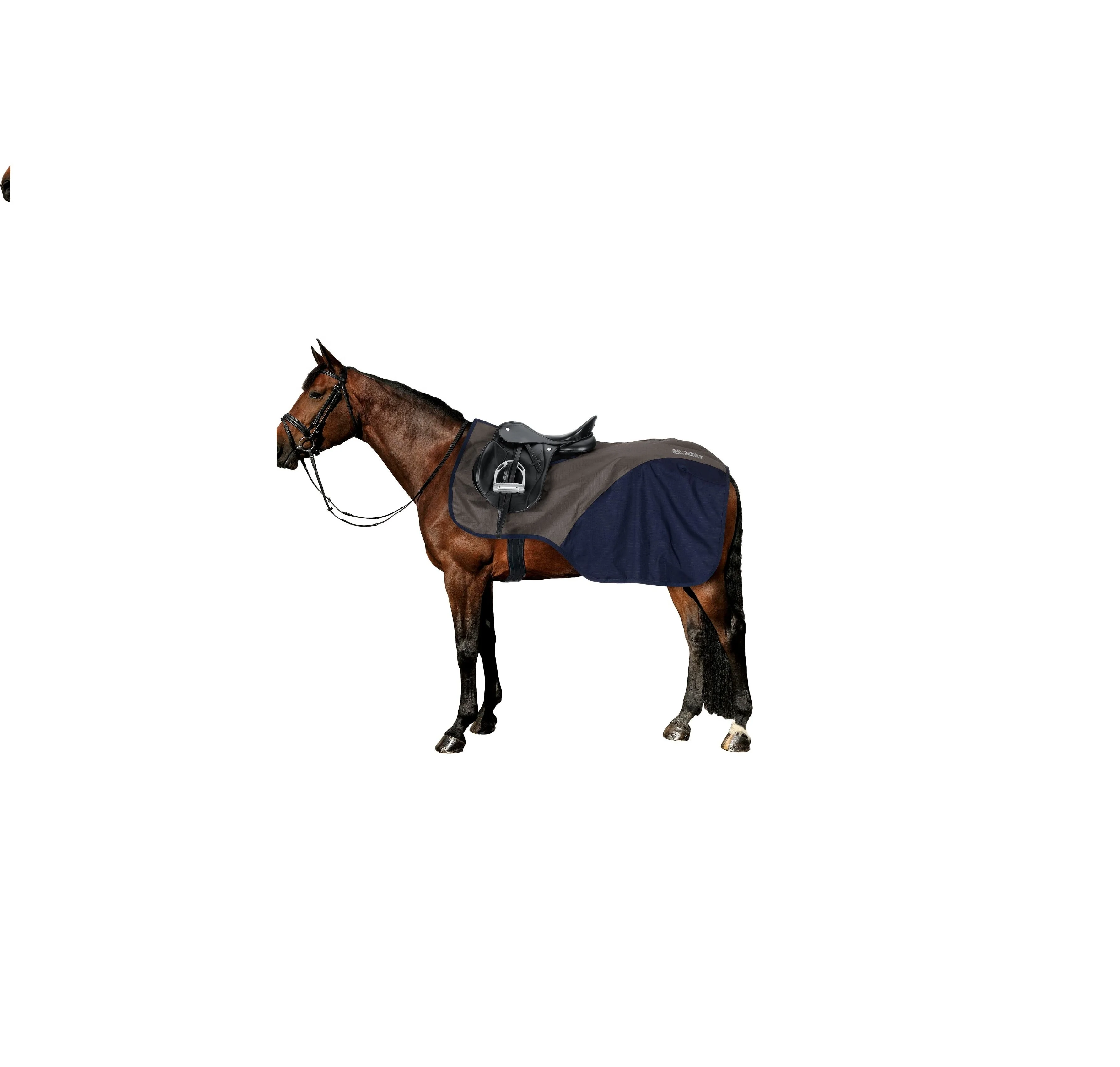 
HORSE CONTINENTAL PATTERN EXERCISE SHEET 600 Denier Ripstop Waterproof Breathable Horse Ripstop Exercise Sheet (50045999714)