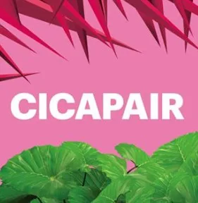 
[Dr.Jart] Cicapair cream - Korean cosmetics 