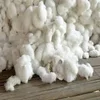 raw cotton price importer in Thai by manufacturer
